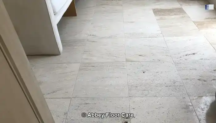 vein cut travertine showing linear void structure