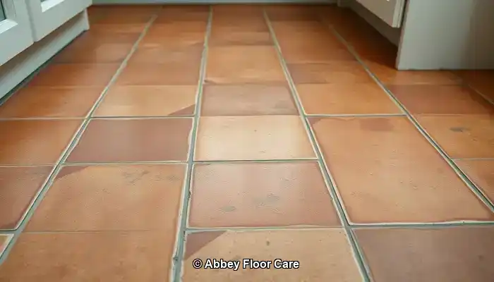 Terracotta tiles becoming dirty due to their absorbent surface