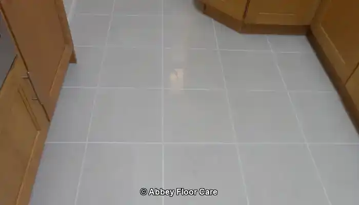 beautiful restored porcelain tile floor by Abbey Floor Care