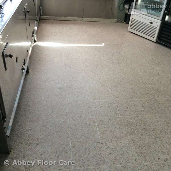 Polished Terrazzo