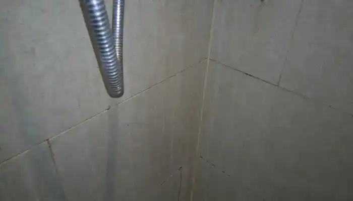 Soap residue and water etching on limestone shower walls