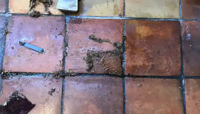 Terracotta floor tiles with surface wear and powdering indicating deeper material issues